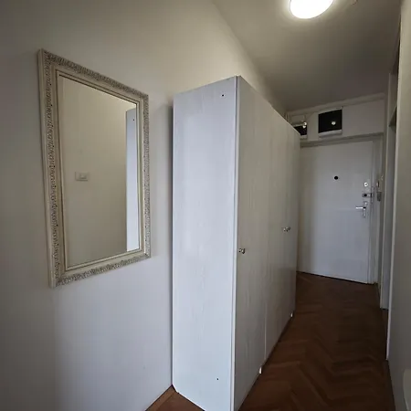 Apartment Rooftop Vracar *