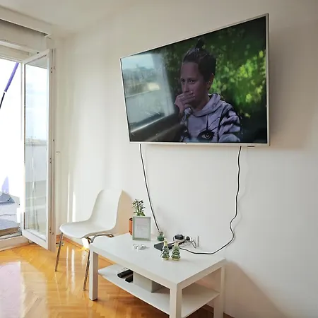 Apartment Rooftop Vracar *